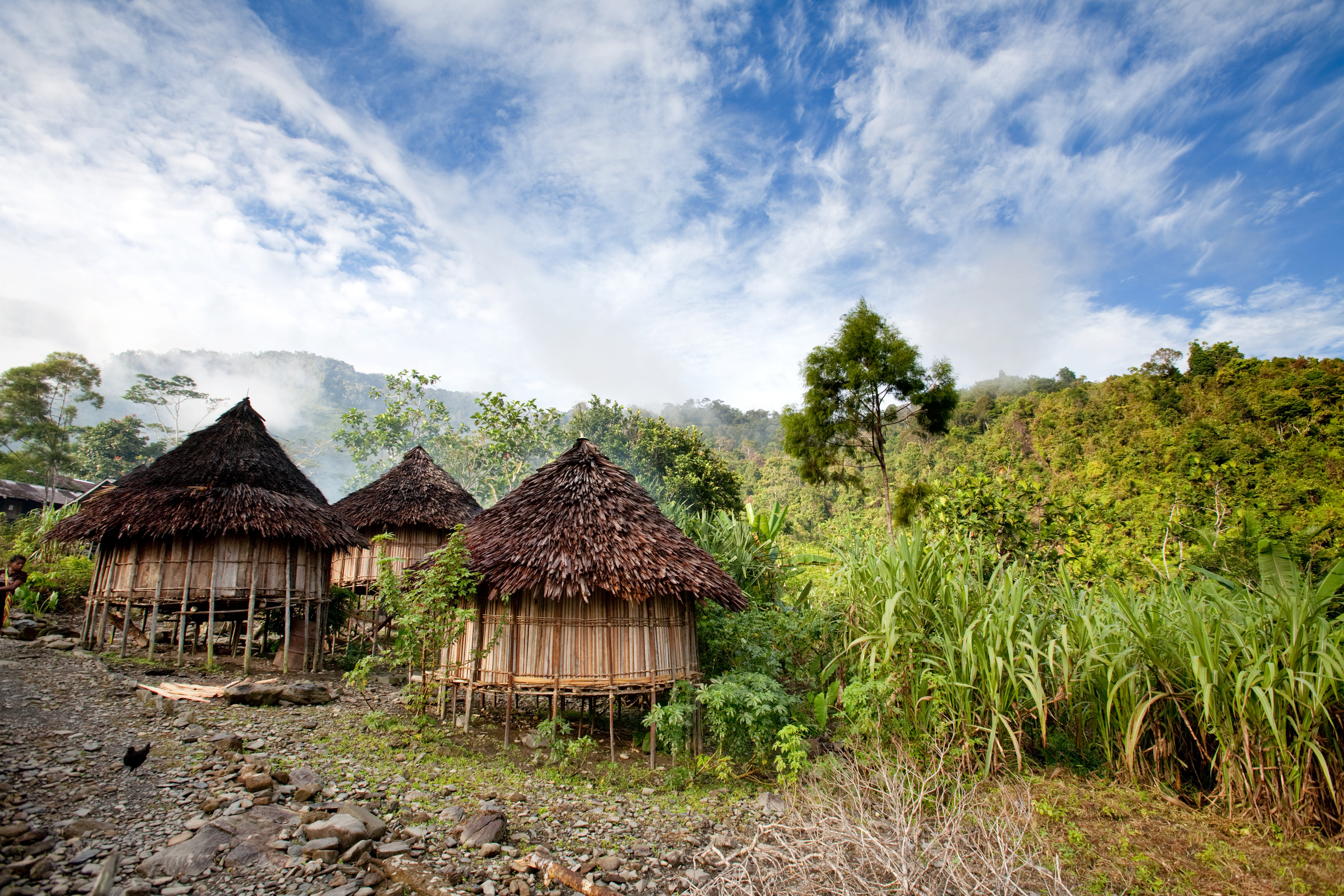 Traditional Hut